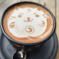 #Veganuary at Black Mamba in Santiago