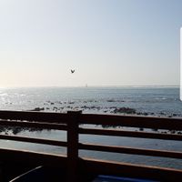 Facing the ocean at CasaTeranga PlantBaseDakar in Dakar