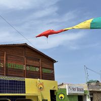   at CasaTeranga PlantBaseDakar in Dakar