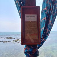 Back to nature at CasaTeranga PlantBaseDakar in Dakar