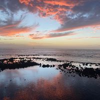  at CasaTeranga PlantBaseDakar in Dakar
