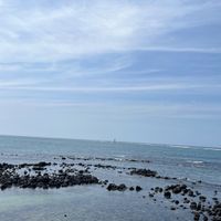   at CasaTeranga PlantBaseDakar in Dakar