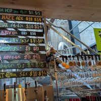  at Eruption Brewing in Lyttelton