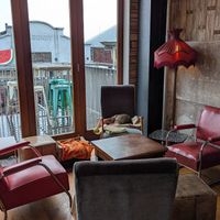 Upstairs - with cat at Eruption Brewing in Lyttelton