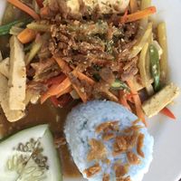 Garlic tofu with veggies and rice  at Villa Potenciana Restaurant in Malapascua Island