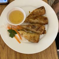Vegan spring rolls   at Alina Cafe and Eatery in Maple Ridge