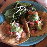 Tacos at Cafe Gratitude in Kansas City