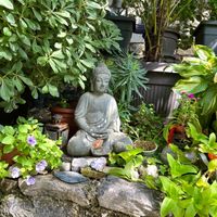  at HealthyStudio512 Apartments in Kotor