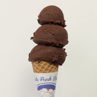 chocolate oat milk at Handel's Homemade Ice Cream in Royersford