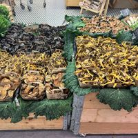 Mushrooms.   at Ametller Origen in Barcelona