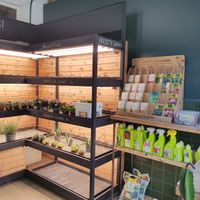  at Frooty in Barcelona