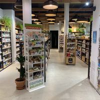  at Frooty in Barcelona