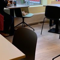 A bit sleepy  at Katzentempel - Bochum in Bochum