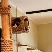   at Katzentempel - Bochum in Bochum