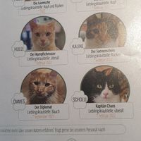  at Katzentempel - Bochum in Bochum