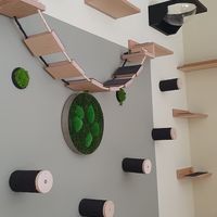  at Katzentempel - Bochum in Bochum