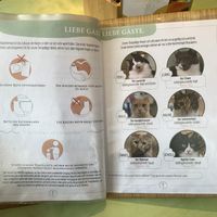   at Katzentempel - Bochum in Bochum