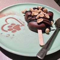   at Katzentempel - Bochum in Bochum