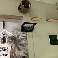   at Katzentempel - Bochum in Bochum