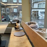  at Katzentempel - Bochum in Bochum