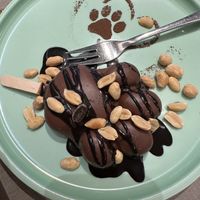   at Katzentempel - Bochum in Bochum