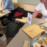 Friendly cats  at Katzentempel - Bochum in Bochum