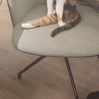  at Katzentempel - Bochum in Bochum