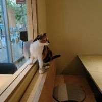  at Katzentempel - Bochum in Bochum