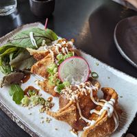Fried gyoza at Iro Izakaya Vegan in Berlin