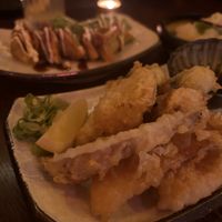 Tempura and gyoza  at Iro Izakaya Vegan in Berlin