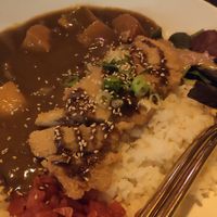 Japanese Curry at Iro Izakaya Vegan in Berlin