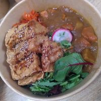 Japanese Curry with Tofu at Iro Izakaya Vegan in Berlin