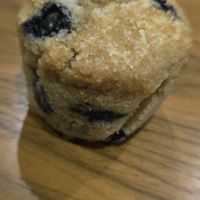 Vegan vanilla/ blueberry muffin at Hana Corner Cafe in Tirana