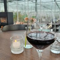 Wine pairing with each course at Stadsjochies in Utrecht