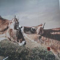 ❤ at To Live For in Vancouver