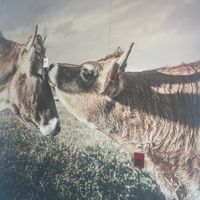   at To Live For in Vancouver