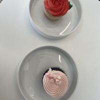   at To Live For in Vancouver