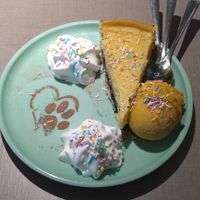 Mohn-Cheesecake mit Mangoeis 😍 at Katzentempel - Hannover in Hannover