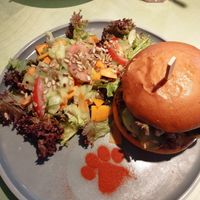  at Katzentempel - Hannover in Hannover