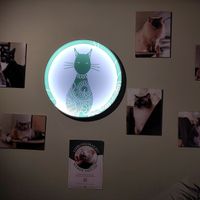 Wall with all the cats at Katzentempel - Hannover in Hannover