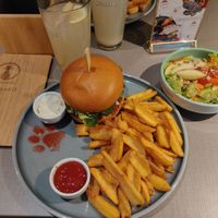  at Katzentempel - Hannover in Hannover