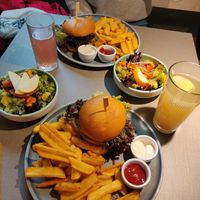  at Katzentempel - Hannover in Hannover