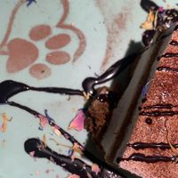 Tiramisu   at Katzentempel - Hannover in Hannover