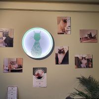 Eingangsbereich - bitte warten! at Katzentempel - Hannover in Hannover