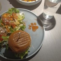  at Katzentempel - Hannover in Hannover