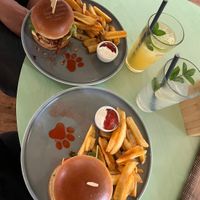   at Katzentempel - Hannover in Hannover