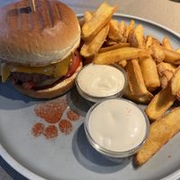   at Katzentempel - Hannover in Hannover