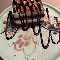   at Katzentempel - Hannover in Hannover