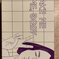 Take away box for two rolls  at Cinnamood in Koblenz
