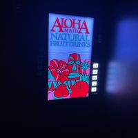 The elusive door requires a nickel for entrance  at Wild Orange in Honolulu